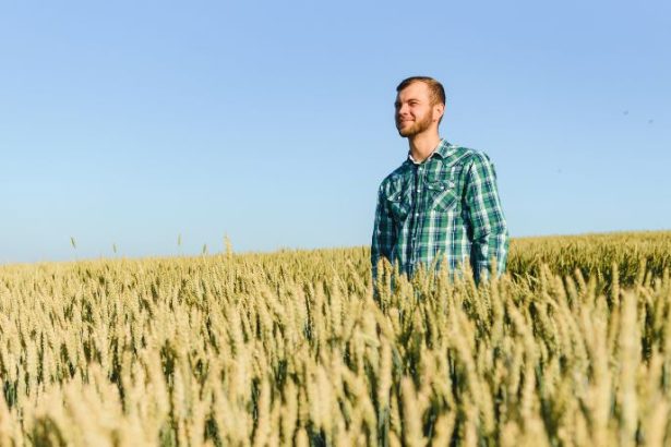 Agenor Vicente Pelissa