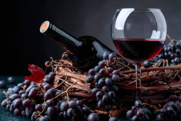 Andre Luiz Veiga Lauria