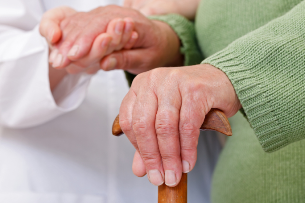 Sindnapi - Sindicato Nacional dos Aposentados, Pensionistas e Idosos