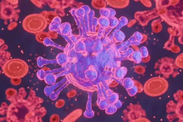 Subvariante da Covid-19 Cicada: o que as 75 mutações revelam sobre o futuro da pandemia