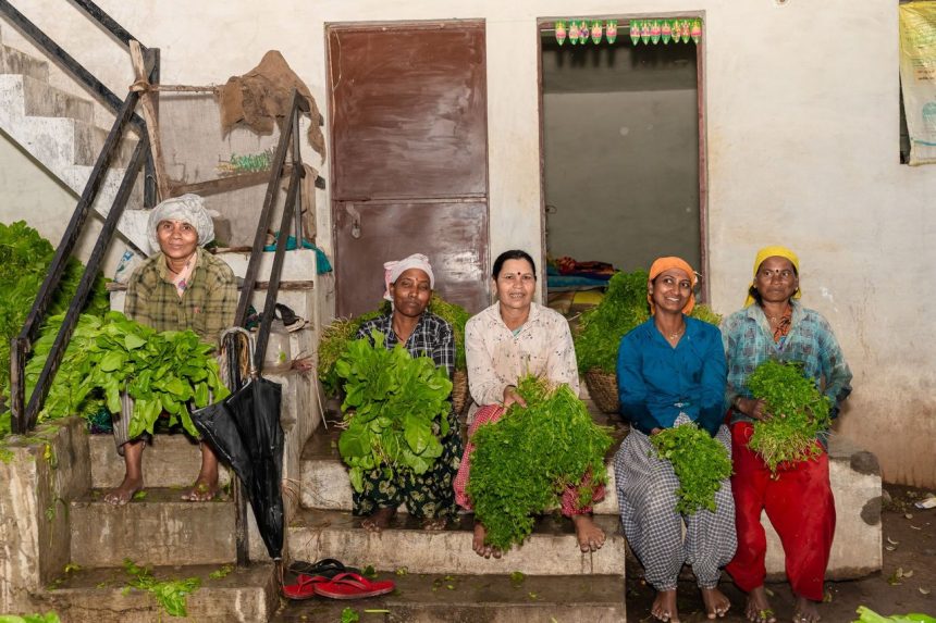 Grupo de mulheres agricultoras segura hortaliças frescas em uma área rural